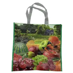 Barato Reciclado Colorido Design PP Tecido Sacola De Compras OPP Laminado Tecido Handle Bag