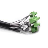 Harnais de câblage automobile personnalisé à conducteurs en cuivre, multi-connecteurs, 20AWG, 150mm, avec borniers à brancher