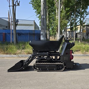 รถเทรลเลอร์ยางรถดัมพ์ขนาดเล็ก500กก. 800กก. 1000กก. รถบรรทุกตีนตะขาบ1ton-8ton - Product Image 3