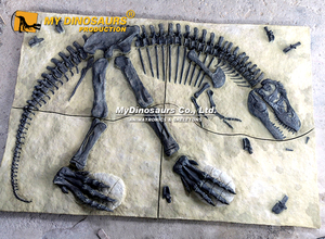 My Dino Kids - Panel de Excavación de Dinosaurios para Actividades al Aire Libre - Product Image 4