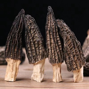 Cina all'ingrosso essiccata Morchella esculenta Yang du jun bulk funghi spugnosi secchi biologici sfusi morelli neri - Product Image 6