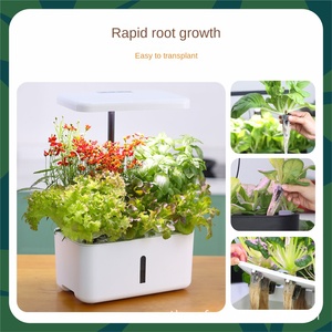 <span class=keywords><strong>IDoo</strong></span> Bloc de substrat de semis AeroGarden Brique de démarrage en bio-carbone pour la plantation hydroponique Brique de tourbe de coco - Product Image 4