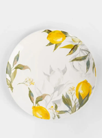 Service de table en porcelaine fine (New Bone China) 18 pièces, motif citron, pour 6 personnes, fourni directement par l'usine