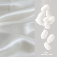 Ensemble de luxe en soie de mûrier pure à 100 % de 19 mm RTS : taie d'oreiller, masque pour les yeux et élastique pour cheveux, coffret cadeau de luxe, ensemble cadeau pour le sommeil en soie