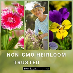 Cimelio Non-ogm fiore scrofe collezione 10 pacchetti Coleus <span class=keywords><strong>garofano</strong></span> margherita Calendula Snapdragon Zinnia per piante <span class=keywords><strong>di</strong></span> fiori e crescono - Product Image 6