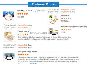 Proteína de Trigo Hidrolizada en Polvo, Suplemento Vegetal, Certificado Halal, Grado Alimenticio, Envasado al Vacío, Venta al Por Mayor - Product Image 4