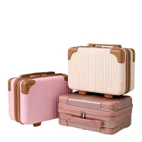 Mini valigetta portatile piccola valigetta cosmetica femminile 14 pollici piccola valigia bagaglio