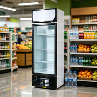 Réfrigérateur de présentation pour magasin, anti-rouille, facile à nettoyer, pour station-service, petit refroidisseur de comptoir