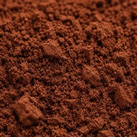 Extrait de Corteil de Pin Premium en Poudre 95% OPC Proanthocyanidines Qualité Alimentaire pour le Soutien Antioxydant et la Beauté de la Peau