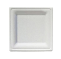 Assiettes carrées jetables écologiques, design vintage, ensembles de vaisselle pour restaurants, hôtels, fêtes, événements, camping