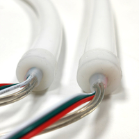 Tube néon LED flexible RGBIC programmable 24V à haute luminosité, 360° pleine surface, en silicone rond de 16 mm, pour la décoration commerciale et l'ingénierie