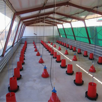 Poulailler préfabriqué moderne avec murs isolés et ventilation du toit, idéal pour l'élevage avicole commercial