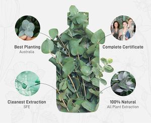 Óleo de eucalipto para venda, óleo de eucalipto para plantas, bomba de óleo de eucalipto, fragrância - Product Image 2