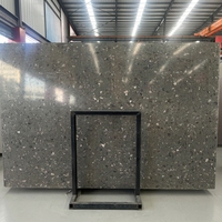 Dalles de terrazzo artificielles résistantes à l'usure, couleur personnalisée, design moderne pour appartement, escalier commercial