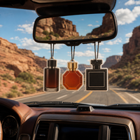 Désodorisant longue durée en papier de coton éliminant les odeurs pour voiture, avec sachet à évaporation naturelle pour l'intérieur de l'auto et les placards