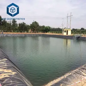 0.75mm Thick HDPE PE Geomembrane Forro para Outdoor Fish Pond no Vietnã