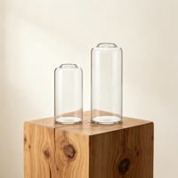 Vase en verre hydroponique cylindrique à petite ouverture, transparent, durable, artistique, fait main, pour décoration de mariage moderne et de maison