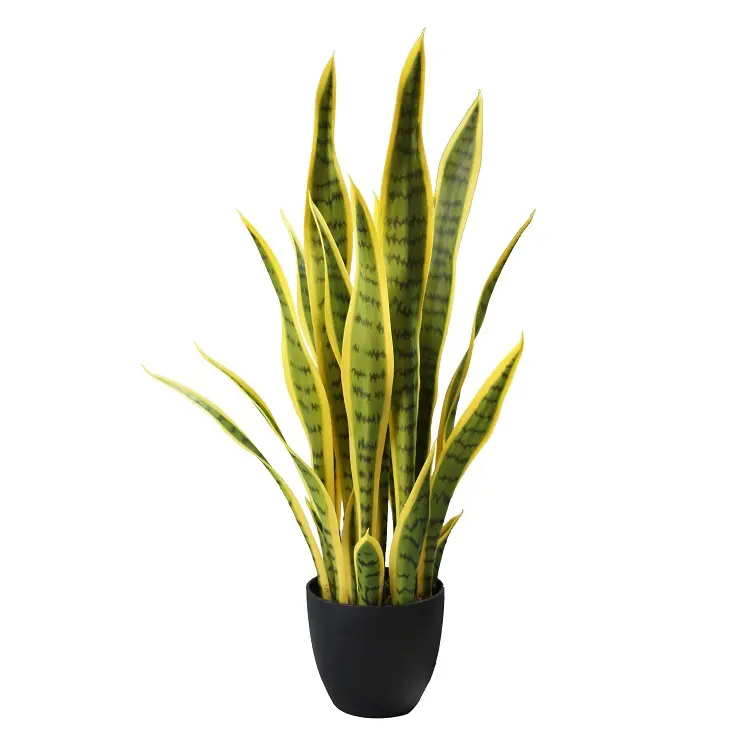 พืชเขตร้อนเป็นมิตรกับสิ่งแวดล้อมทำ Faux งูบอนไซ Sansevieria พืช