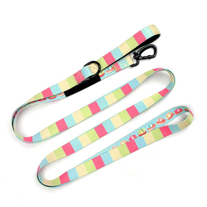 Laisse pour chien tressée robuste, laisse de sécurité anti-évasion pour animaux de compagnie avec boucle solide - Product Image 5