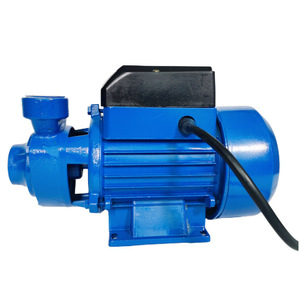 Qb60 <b>Solar</b> Water <b>Pump</b> Dc 24V Low Pressure Household Use - Product Image 2