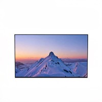 Monitor Portátil BOE NE173QUM-N62 de 17.3 Pulgadas, 4K IPS LED, para Uso Empresarial, Interfaz EDP, Respuesta de 25ms, Contraste de 1200:1, 100% SRGB