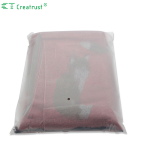 De varios Slider Zip Lock bolsas PPE claro Ziplock ropa bolsa de embalaje - Product Image 1