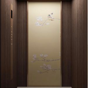 Ascenseur résidentiel sans gaine à 3 étages, à traction sans engrenages, avec options PVC et magnifiques choix de couleurs - Product Image 6