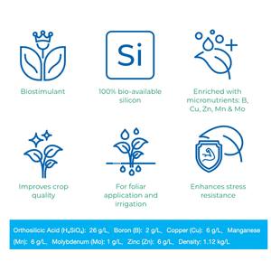 Engrais organique à base d'acide silicique stabilisé, favorisant la santé des plantes pour toutes les cultures, améliore la résistance au stress et augmente le rendement. - Product Image 2