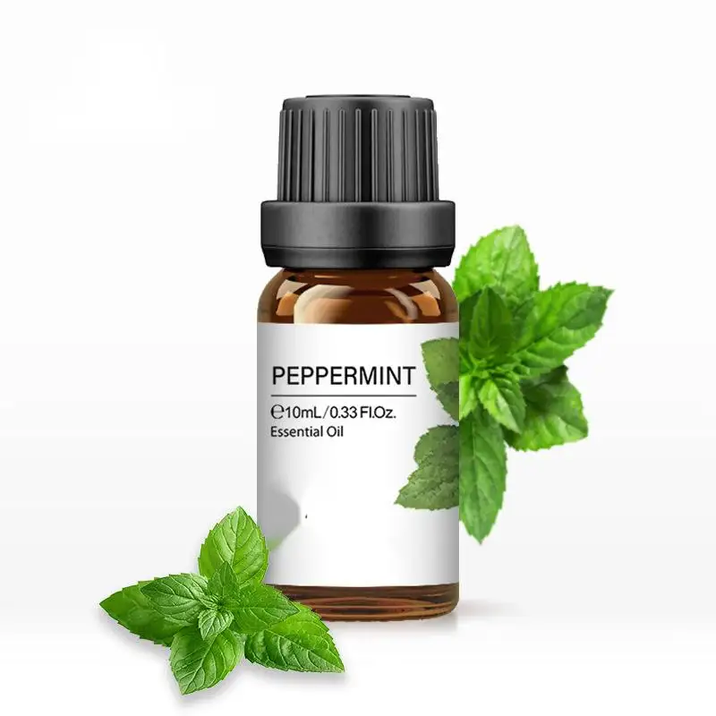 100% lenitivo fresco naturale per il corpo e la mente che rinvigoriscono lo spirito migliorando gli odori OEM/ODM fornitura di olio essenziale di menta piperita