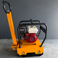 Compacteur à plaque vibrante de type 250 à moteur essence pour la compactation des sols et des sous-sols routiers