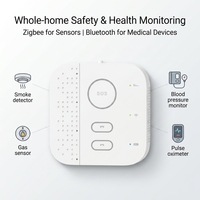 Hub intelligent domestique Eview pour la surveillance de la santé en temps réel avec bouton d'alerte d'urgence LoRa et capteurs de sécurité