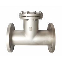 Filtre à Té DN100 en Acier Inoxydable 304 316 ANSI DIN pour Conduites Haute Pression de Gaz Naturel et d'Huile