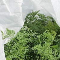 Vente en gros de tissu non tissé agricole 100% polypropylène, résistant aux déchirures, léger, couverture pour plantes, antigel
