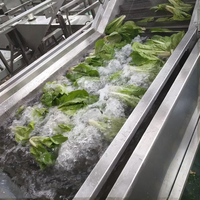 Xu Industriële Zeevruchten Garnalen Plc Motor Pomp Motor Luchtbel Wasmachine Mossel Slak Oester Schoonmaken Fruit Groente
