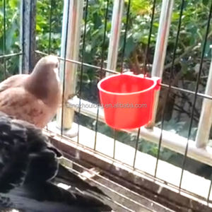 Zz lmb11 ציפור כלוב כוסות עוף קערה זרעי תלה תלייה תותחי מזון - Product Image 5