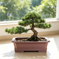 Pot Sukulen Rustic, Pot Tanaman Kreatif, Pot Pohon Minimalis, Pot Bonsai Tanah Liat Ungu Yixing, Pot Taman Rumah Ramah Lingkungan, Musim Panas