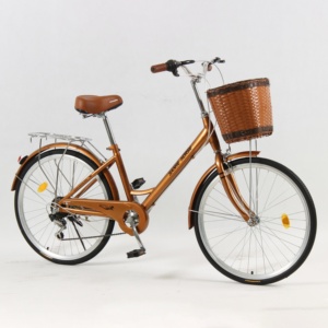 <span class=keywords><strong>Bicicleta</strong></span> <span class=keywords><strong>Urbana</strong></span> Económica de 24 Pulgadas con Cuadro de Acero de Alto Carbono de Una Sola Velocidad para <span class=keywords><strong>Mujer</strong></span> - Product Image 5