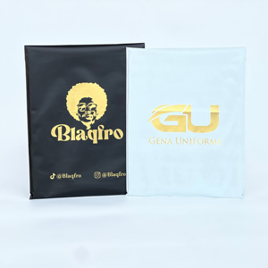 Hot Sale 10*13 Matte <b>Pink</b> Mailer Bag With Shiny Gold logo Paper Bag Eco Poly Mailer Packaging Shipping Bag for Cloth Shoe <b>Box</b> - Product Image 3