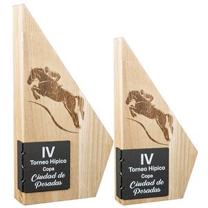 Trophée Durable en Bois de Hêtre Massif avec Plaque en Fer - Product Image 1