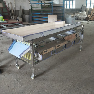 Máquina Clasificadora de Patatas por Tamaño, Clasificadora de Cebollas por Tamaño, Clasificadora de Ajo, Máquina Clasificadora de Mandarinas - Product Image 4