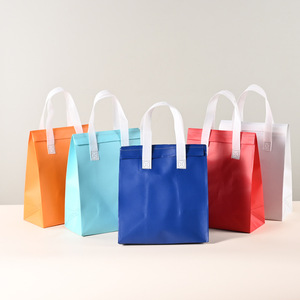 Bolsas de tela no tejida personalizables con logo, termoselladas, cosidas, ecológicas, promocionales, para llevar, embalaje general, Wenzhou Longgang - Product Image 1