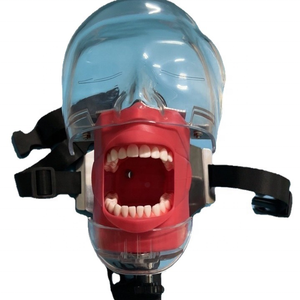 Maniquí de Cabeza con Dientes Realistas Profesionales, Componentes Metálicos de Acero Inoxidable para Prácticas de Blanqueamiento Dental - Product Image 6