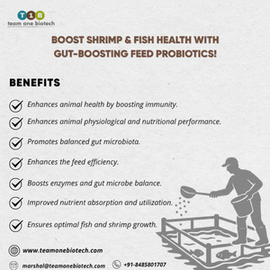 Probióticos para Acuicultura, Aditivo para Alimentos - Product Image 1