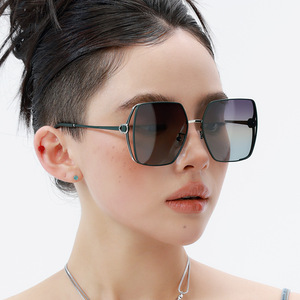 Lunettes de soleil polarisées carrées Dl-D6389 pour femmes, verres TAC UV400, monture en métal TR, couleur marron, style haut de gamme - Product Image 2