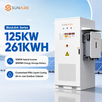 Armoire BESS LiFePO4 125 kW 261 kWh clé en main OEM ODM avec refroidissement liquide pour projets de stockage d'énergie solaire utilitaire et commercial