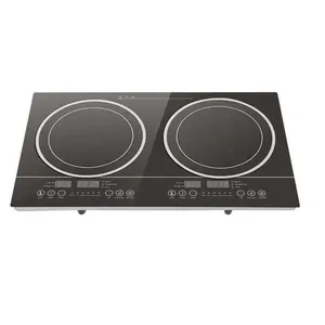 Cocina eléctrica de inducción, carcasa de plástico, 2 quemadores, con CE GS CB