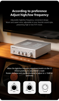 BRZHIFI F2 HiFi Stereo Ön Amfi, Bas Tiz Ton Kontrolü, Nadir Altın Kaplama Op-Amp Ses Ön Amfisi, Alüminyum Kasa