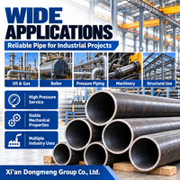 Tuyau en acier sans soudure en acier au carbone ASTM A106 Gr B SCH40 SCH80, tube en acier noir pour pipeline de pétrole et de gaz