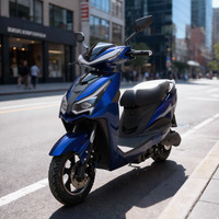 Moped électrique à deux places CKD EEC 10/12 pouces, 600/800W, vitesse 50 km/h, scooter électrique pour adultes avec siège