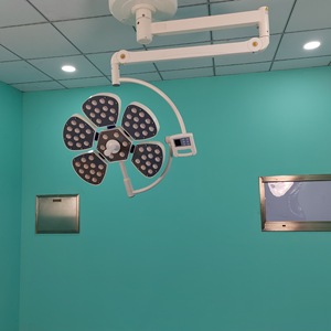 Lampe LED sans ombre 30000 lm à 5 pétales, mobile, pour chirurgie dentaire, fixation murale ou au plafond, pour clinique et opérations - Product Image 2